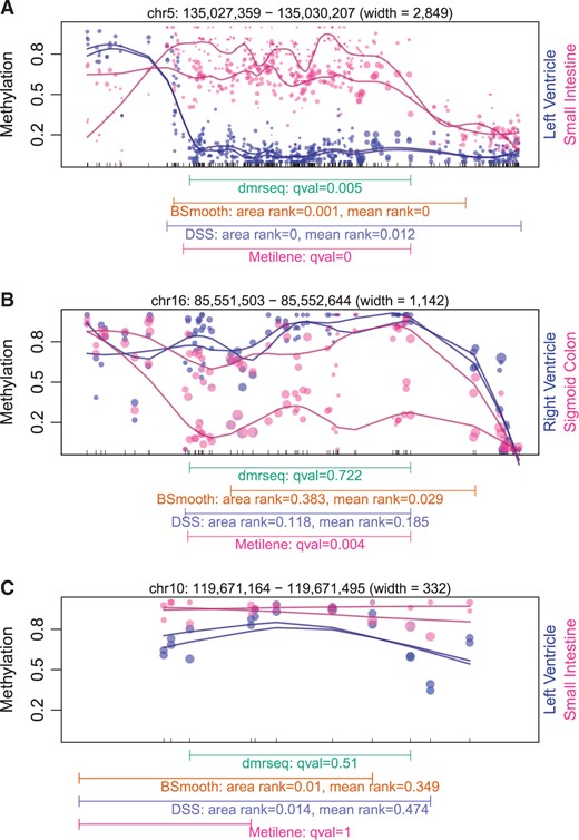 Detection and accurate false discovery rate control of differentially methylated regions from whole genome bisulfite sequencing