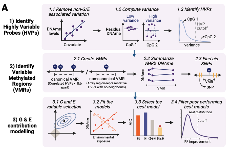 RAMEN: Dissecting individual, additive and interactive gene-environment contributions to DNA methylome variability in cord blood